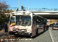 bild015_hha_o305_schnellbus_6416.jpg